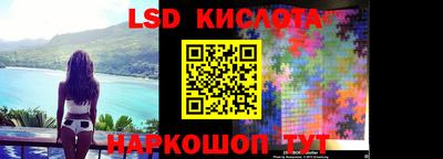 крисы Малгобек
