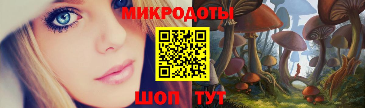 Галлюциногенные грибы Cubensis  Вход с VPN  Сосновый Бор 